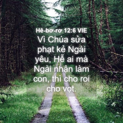 Picture 04 - Hê-bơ-rơ 12:6 VIE - Vì Chúa sửa phạt kẻ Ngài yêu, Hễ ai - Bible Verse Picture