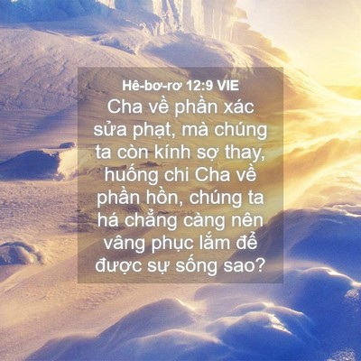 Picture 04 - Hê-bơ-rơ 12:9 VIE - Cha về phần xác sửa phạt, mà chúng ta - Bible Verse Picture