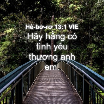 Picture 04 - Hê-bơ-rơ 13:1 VIE - Hãy hằng có tình yêu thương anh - Bible Verse Picture