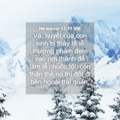 Picture 04 - Hê-bơ-rơ 13:11 VIE - Vả, huyết của con sinh bị thầy tế - Bible Verse Picture