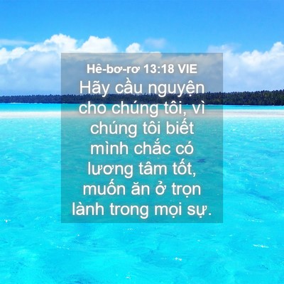 Picture 04 - Hê-bơ-rơ 13:18 VIE - Hãy cầu nguyện cho chúng tôi, vì chúng - Bible Verse Picture