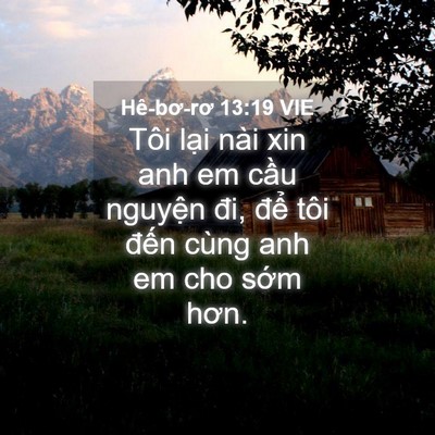 Picture 04 - Hê-bơ-rơ 13:19 VIE - Tôi lại nài xin anh em cầu nguyện đi, - Bible Verse Picture