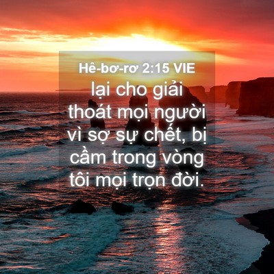 Picture 04 - Hê-bơ-rơ 2:15 VIE - lại cho giải thoát mọi người vì sợ - Bible Verse Picture