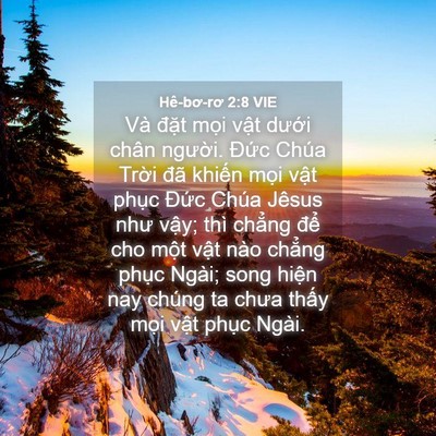 Picture 04 - Hê-bơ-rơ 2:8 VIE - Và đặt mọi vật dưới chân người. - Bible Verse Picture