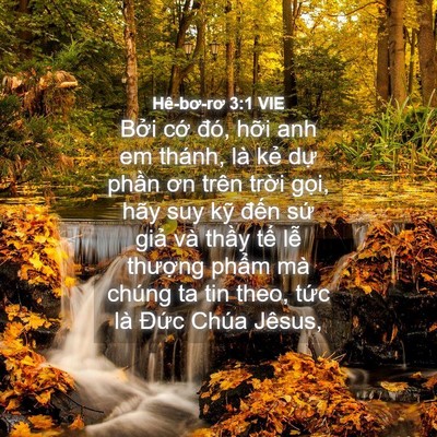 Picture 04 - Hê-bơ-rơ 3:1 VIE - Bởi cớ đó, hỡi anh em thánh, là kẻ - Bible Verse Picture