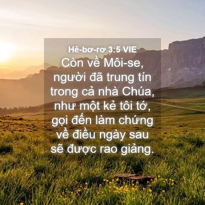 Picture 04 - Hê-bơ-rơ 3:5 VIE - Còn về Môi-se, người đã trung tín trong - Bible Verse Picture