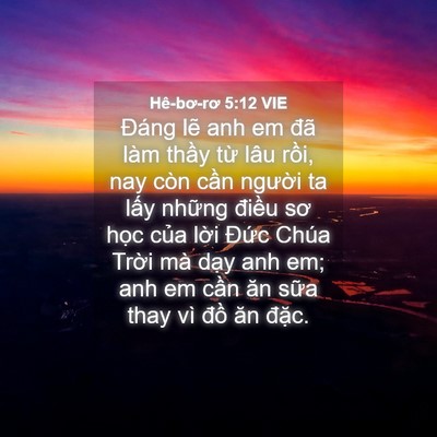 Picture 04 - Hê-bơ-rơ 5:12 VIE - Đáng lẽ anh em đã làm thầy từ lâu - Bible Verse Picture