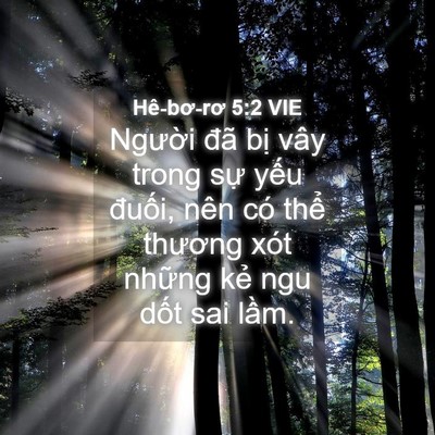 Picture 04 - Hê-bơ-rơ 5:2 VIE - Người đã bị vây trong sự yếu đuối, - Bible Verse Picture