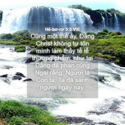 Picture 04 - Hê-bơ-rơ 5:5 VIE - Cũng một thể ấy, Đấng Christ không - Bible Verse Picture