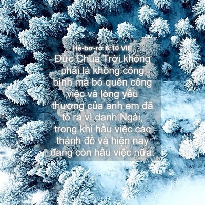 Picture 04 - Hê-bơ-rơ 6:10 VIE - Đức Chúa Trời không phải là không - Bible Verse Picture