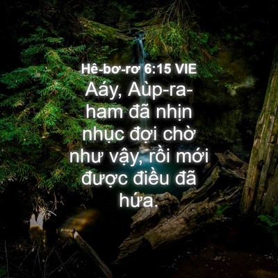 Picture 04 - Hê-bơ-rơ 6:15 VIE - Aáy, Aùp-ra-ham đã nhịn nhục đợi chờ - Bible Verse Picture