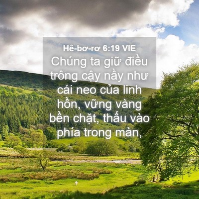 Picture 04 - Hê-bơ-rơ 6:19 VIE - Chúng ta giữ điều trông cậy nầy như - Bible Verse Picture