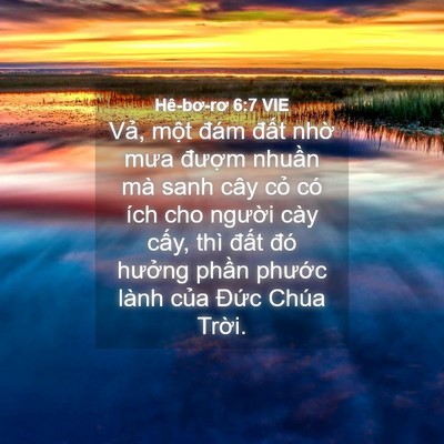 Picture 04 - Hê-bơ-rơ 6:7 VIE - Vả, một đám đất nhờ mưa đượm - Bible Verse Picture