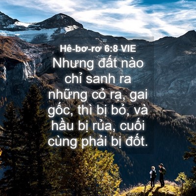 Picture 04 - Hê-bơ-rơ 6:8 VIE - Nhưng đất nào chỉ sanh ra những cỏ - Bible Verse Picture