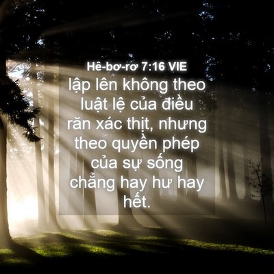 Picture 04 - Hê-bơ-rơ 7:16 VIE - lập lên không theo luật lệ của điều - Bible Verse Picture