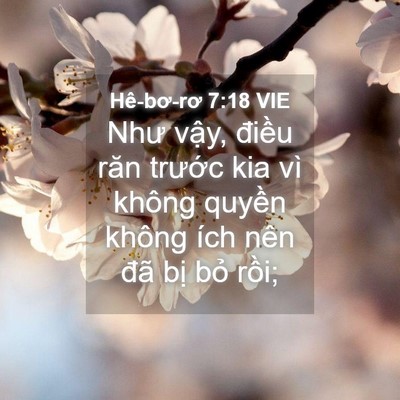 Picture 04 - Hê-bơ-rơ 7:18 VIE - Như vậy, điều răn trước kia vì không - Bible Verse Picture