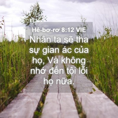 Picture 04 - Hê-bơ-rơ 8:12 VIE - Nhân ta sẽ tha sự gian ác của họ, Và - Bible Verse Picture