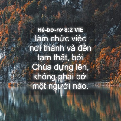 Picture 04 - Hê-bơ-rơ 8:2 VIE - làm chức việc nơi thánh và đền tạm - Bible Verse Picture
