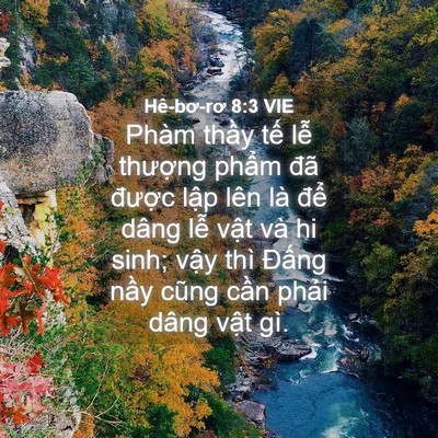 Picture 04 - Hê-bơ-rơ 8:3 VIE - Phàm thầy tế lễ thượng phẩm đã - Bible Verse Picture