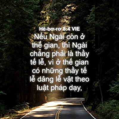 Picture 04 - Hê-bơ-rơ 8:4 VIE - Nếu Ngài còn ở thế gian, thì Ngài - Bible Verse Picture