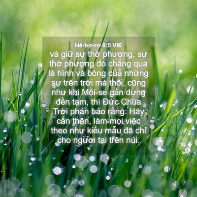 Picture 04 - Hê-bơ-rơ 8:5 VIE - và giữ sự thờ phượng, sự thờ - Bible Verse Picture