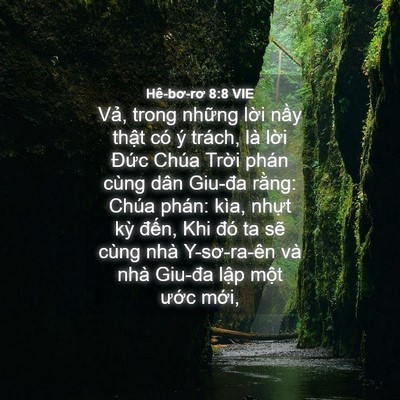 Picture 04 - Hê-bơ-rơ 8:8 VIE - Vả, trong những lời nầy thật có ý - Bible Verse Picture