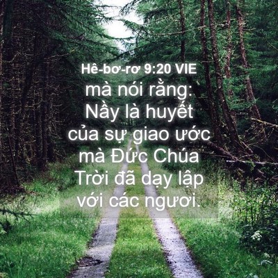 Picture 04 - Hê-bơ-rơ 9:20 VIE - mà nói rằng: Nầy là huyết của sự - Bible Verse Picture