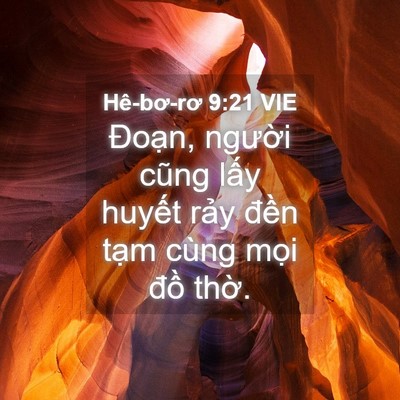 Picture 04 - Hê-bơ-rơ 9:21 VIE - Đoạn, người cũng lấy huyết rảy - Bible Verse Picture