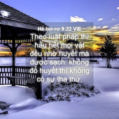 Picture 04 - Hê-bơ-rơ 9:22 VIE - Theo luật pháp thì hầu hết mọi vật - Bible Verse Picture