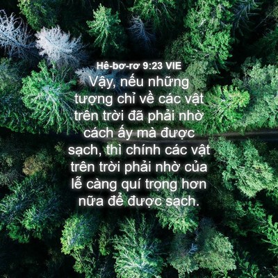 Picture 04 - Hê-bơ-rơ 9:23 VIE - Vậy, nếu những tượng chỉ về các - Bible Verse Picture