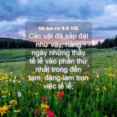 Picture 04 - Hê-bơ-rơ 9:6 VIE - Các vật đã sắp đặt như vậy, hằng - Bible Verse Picture