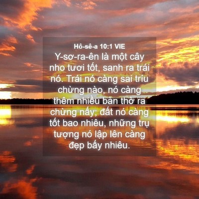 Picture 04 - Hô-sê-a 10:1 VIE - Y-sơ-ra-ên là một cây nho tươi tốt, - Bible Verse Picture