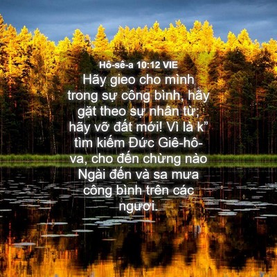 Picture 04 - Hô-sê-a 10:12 VIE - Hãy gieo cho mình trong sự công bình, hãy - Bible Verse Picture
