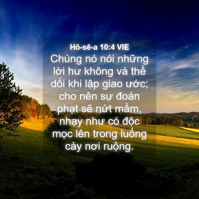 Picture 04 - Hô-sê-a 10:4 VIE - Chúng nó nói những lời hư không và - Bible Verse Picture