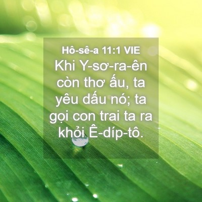 Picture 04 - Hô-sê-a 11:1 VIE - Khi Y-sơ-ra-ên còn thơ ấu, ta yêu dấu - Bible Verse Picture