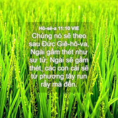 Picture 04 - Hô-sê-a 11:10 VIE - Chúng nó sẽ theo sau Đức Giê-hô-va, - Bible Verse Picture
