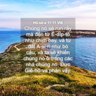 Picture 04 - Hô-sê-a 11:11 VIE - Chúng nó sẽ run rẩy mà đến từ - Bible Verse Picture