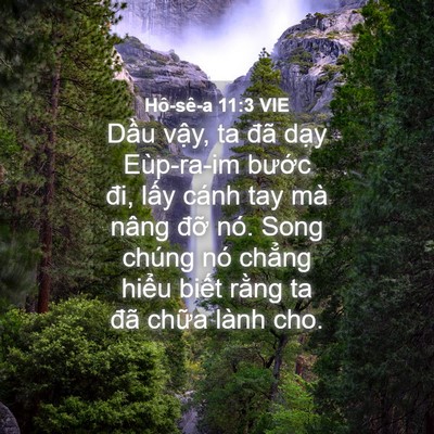 Picture 04 - Hô-sê-a 11:3 VIE - Dầu vậy, ta đã dạy Eùp-ra-im bước - Bible Verse Picture