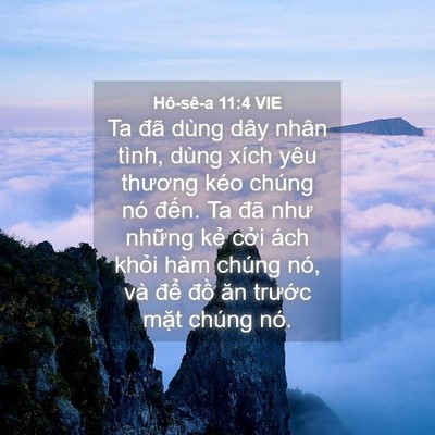 Picture 04 - Hô-sê-a 11:4 VIE - Ta đã dùng dây nhân tình, dùng xích yêu - Bible Verse Picture