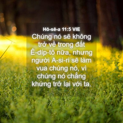 Picture 04 - Hô-sê-a 11:5 VIE - Chúng nó sẽ không trở về trong đất - Bible Verse Picture