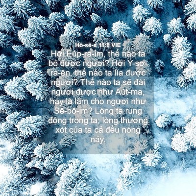 Picture 04 - Hô-sê-a 11:8 VIE - Hỡi Eùp-ra-im, thể nào ta bỏ được - Bible Verse Picture