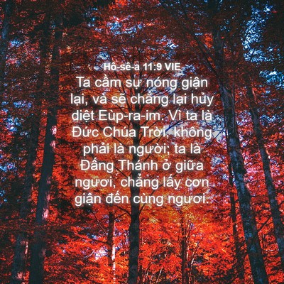 Picture 04 - Hô-sê-a 11:9 VIE - Ta cầm sự nóng giận lại, và sẽ - Bible Verse Picture