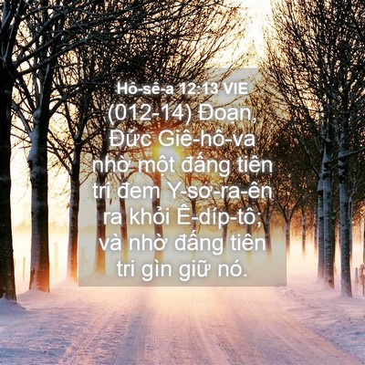 Picture 04 - Hô-sê-a 12:13 VIE - (012-14) Đoạn, Đức Giê-hô-va nhờ một - Bible Verse Picture