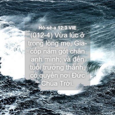 Picture 04 - Hô-sê-a 12:3 VIE - (012-4) Vừa lúc ở trong lòng mẹ, - Bible Verse Picture