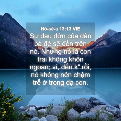 Picture 04 - Hô-sê-a 13:13 VIE - Sự đau đớn của đàn bà đẻ sẽ - Bible Verse Picture