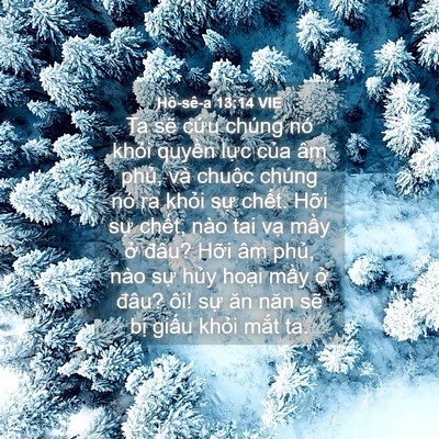 Picture 04 - Hô-sê-a 13:14 VIE - Ta sẽ cứu chúng nó khỏi quyền lực - Bible Verse Picture