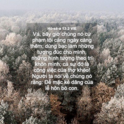 Picture 04 - Hô-sê-a 13:2 VIE - Vả, bây giờ chúng nó cứ phạm tội - Bible Verse Picture