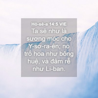 Picture 04 - Hô-sê-a 14:5 VIE - Ta sẽ như là sương móc cho Y-sơ-ra-ên; - Bible Verse Picture