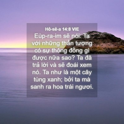 Picture 04 - Hô-sê-a 14:8 VIE - Eùp-ra-im sẽ nói: Ta với những thần - Bible Verse Picture