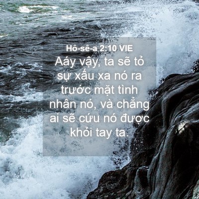 Picture 04 - Hô-sê-a 2:10 VIE - Aáy vậy, ta sẽ tỏ sự xấu xa nó ra - Bible Verse Picture